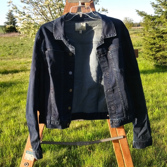 Calvin Klein Jeans Jackets & Blazers - Calvin Klein Jeans Denim Jacket